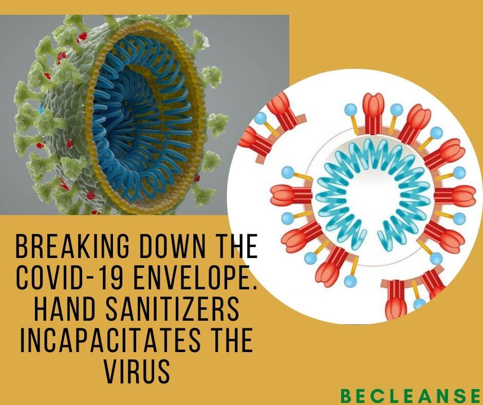 how alcohol hand rubs breaks down the outer layer of the covid-19 and incapacitates the virus