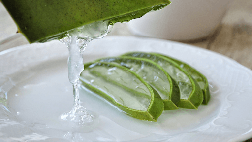aloe vera leaf on white plate for hand sanitizer formulation