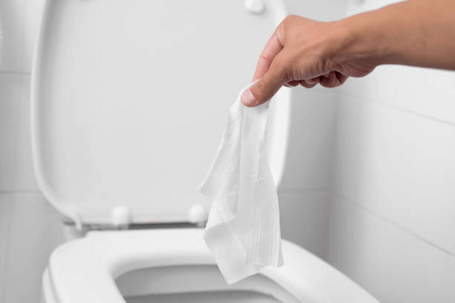 How to Make Flushable Wet Wipes wet wipes which can be flushed in the toilet